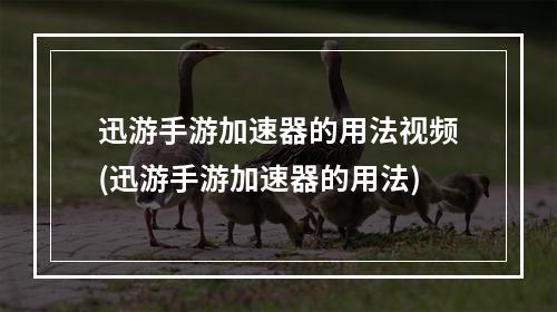 迅游手游加速器的用法视频(迅游手游加速器的用法)