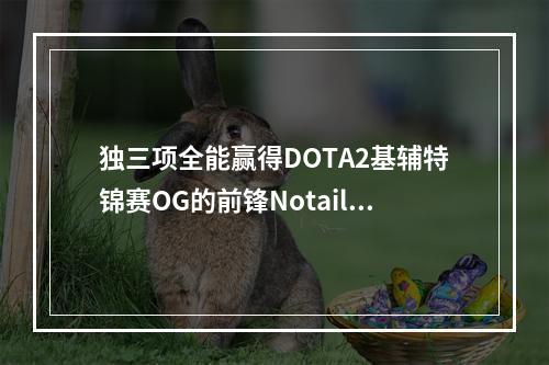 独三项全能赢得DOTA2基辅特锦赛OG的前锋Notail和Fly在DOTA2基辅特锦赛上勇夺冠军，不仅帮助OG获得了丰厚的奖金，更是成为了本届比赛的最大赢家。O