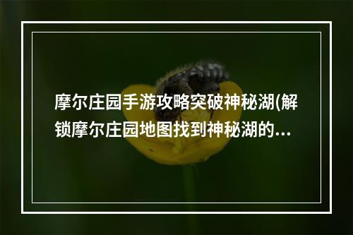 摩尔庄园手游攻略突破神秘湖(解锁摩尔庄园地图找到神秘湖的秘密)