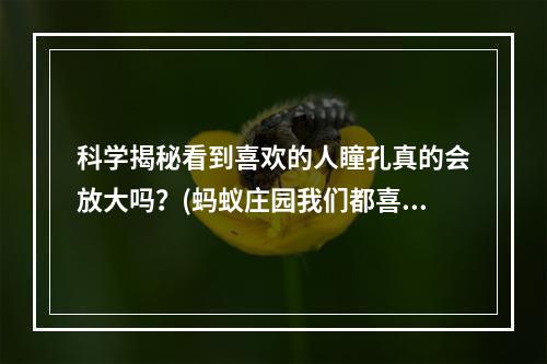 科学揭秘看到喜欢的人瞳孔真的会放大吗？(蚂蚁庄园我们都喜欢扮演爱情专家)