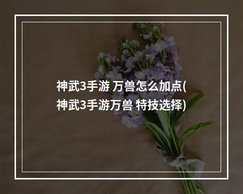 神武3手游 万兽怎么加点(神武3手游万兽 特技选择)