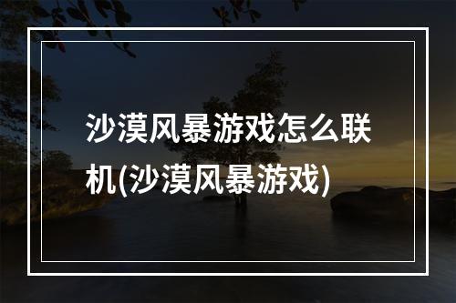 沙漠风暴游戏怎么联机(沙漠风暴游戏)