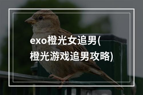 exo橙光女追男(橙光游戏追男攻略)