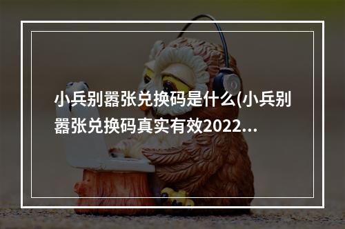 小兵别嚣张兑换码是什么(小兵别嚣张兑换码真实有效2022礼包码领取)