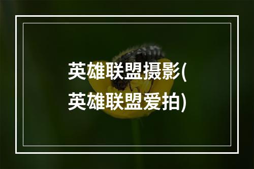 英雄联盟摄影(英雄联盟爱拍)