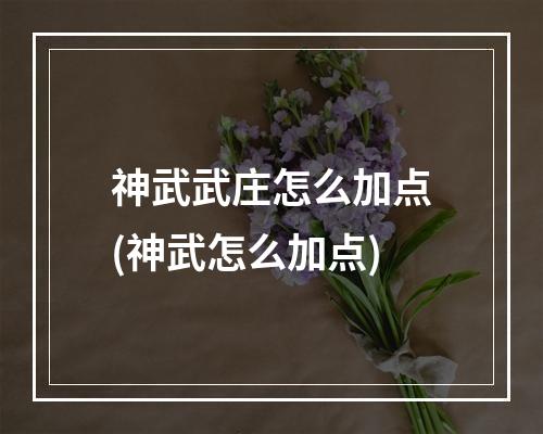 神武武庄怎么加点(神武怎么加点)