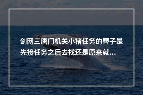 剑网三唐门机关小猪任务的簪子是先接任务之后去找还是原来就有？(唐门机关小猪)