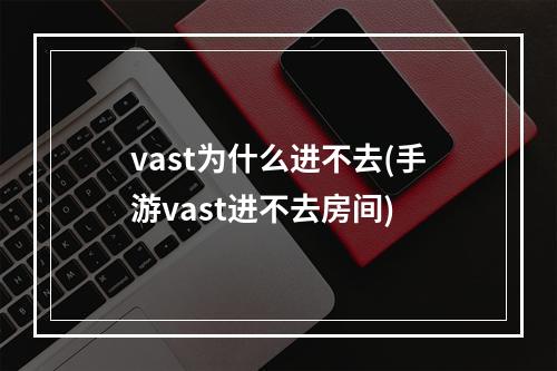 vast为什么进不去(手游vast进不去房间)