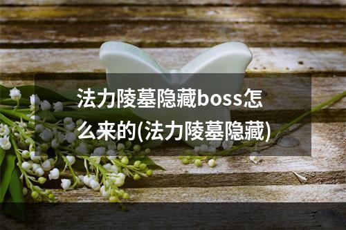 法力陵墓隐藏boss怎么来的(法力陵墓隐藏)