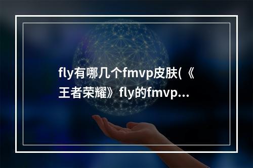 fly有哪几个fmvp皮肤(《王者荣耀》fly的fmvp皮肤有哪些 fly的fmvp皮肤介绍  )