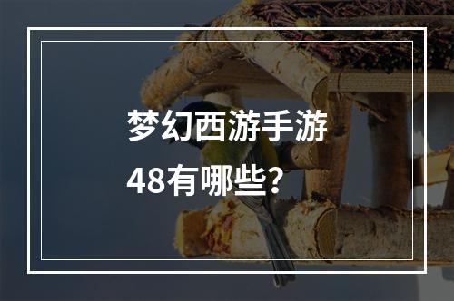 梦幻西游手游48有哪些？