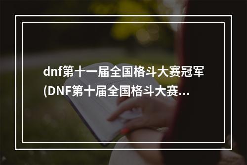 dnf第十一届全国格斗大赛冠军(DNF第十届全国格斗大赛 总决赛赛事奖励公布)