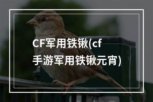 CF军用铁锹(cf手游军用铁锹元宵)