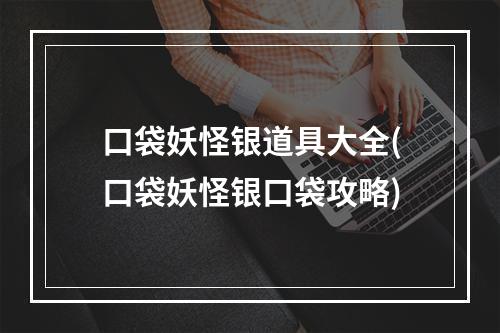 口袋妖怪银道具大全(口袋妖怪银口袋攻略)