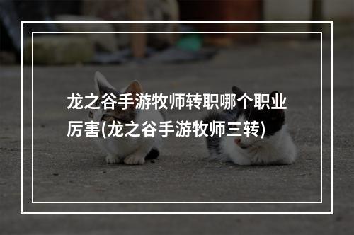 龙之谷手游牧师转职哪个职业厉害(龙之谷手游牧师三转)