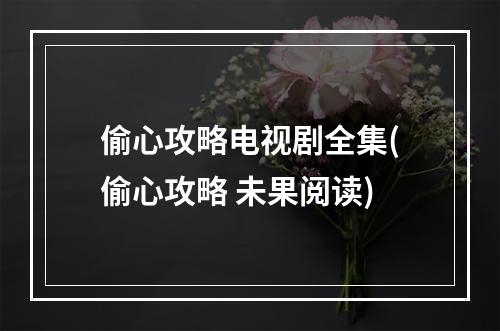 偷心攻略电视剧全集(偷心攻略 未果阅读)