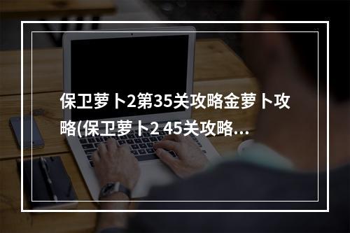 保卫萝卜2第35关攻略金萝卜攻略(保卫萝卜2 45关攻略金萝卜)