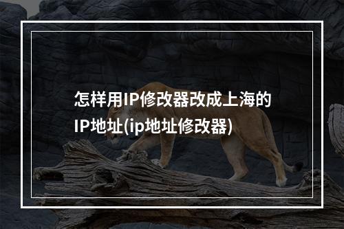 怎样用IP修改器改成上海的IP地址(ip地址修改器)