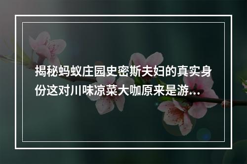 揭秘蚂蚁庄园史密斯夫妇的真实身份这对川味凉菜大咖原来是游戏设计师！(蚂蚁庄园之父的新游戏，《蚂蚁建城》即将上线！)