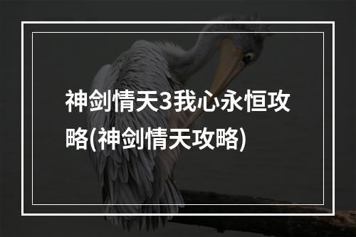 神剑情天3我心永恒攻略(神剑情天攻略)