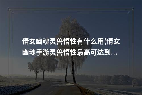 倩女幽魂灵兽悟性有什么用(倩女幽魂手游灵兽悟性最高可达到)