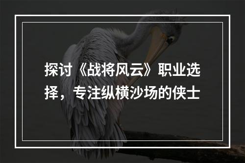 探讨《战将风云》职业选择，专注纵横沙场的侠士