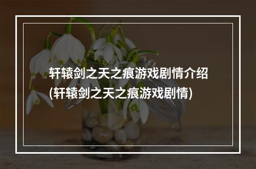 轩辕剑之天之痕游戏剧情介绍(轩辕剑之天之痕游戏剧情)