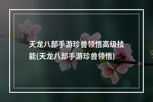 天龙八部手游珍兽领悟高级技能(天龙八部手游珍兽领悟)