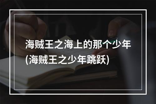 海贼王之海上的那个少年(海贼王之少年跳跃)