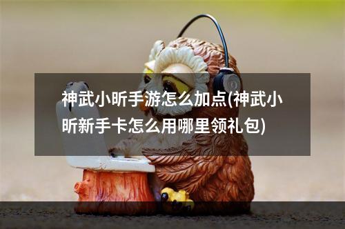 神武小昕手游怎么加点(神武小昕新手卡怎么用哪里领礼包)