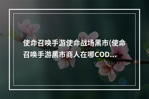 使命召唤手游使命战场黑市(使命召唤手游黑市商人在哪CODM2021黑市商人活动入口)