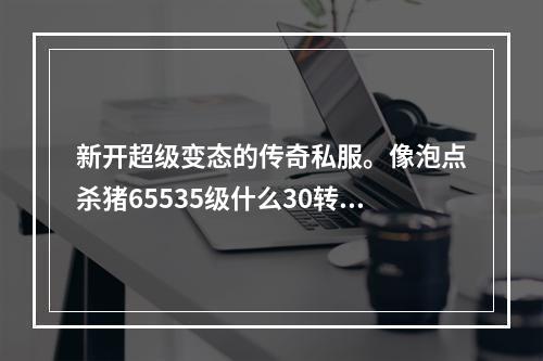 新开超级变态的传奇私服。像泡点杀猪65535级什么30转生。6倍经验宝刀什么的。(新开变态魔域私服)