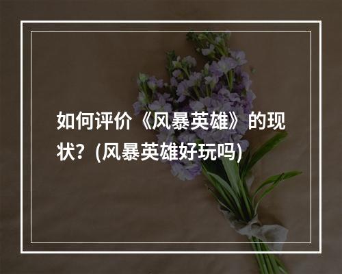 如何评价《风暴英雄》的现状？(风暴英雄好玩吗)