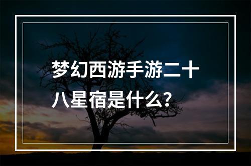 梦幻西游手游二十八星宿是什么？