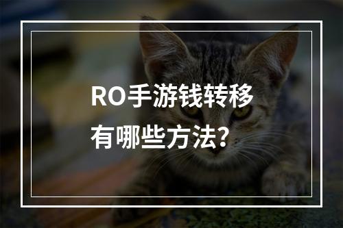 RO手游钱转移有哪些方法？