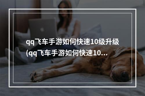 qq飞车手游如何快速10级升级(qq飞车手游如何快速10级)