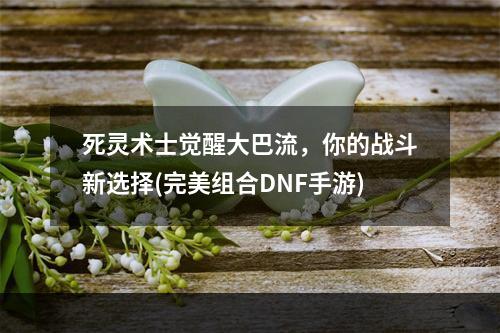 死灵术士觉醒大巴流，你的战斗新选择(完美组合DNF手游)