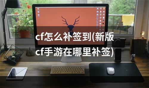 cf怎么补签到(新版cf手游在哪里补签)