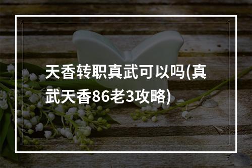 天香转职真武可以吗(真武天香86老3攻略)