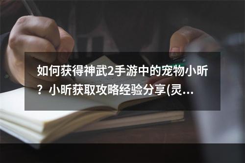 如何获得神武2手游中的宠物小昕？小昕获取攻略经验分享(灵兽抓捕攻略)