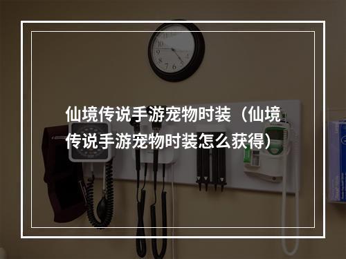 仙境传说手游宠物时装（仙境传说手游宠物时装怎么获得）