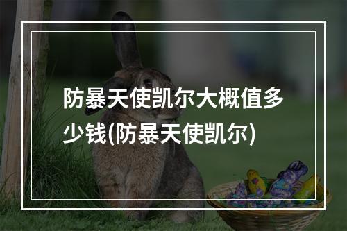 防暴天使凯尔大概值多少钱(防暴天使凯尔)