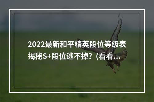 2022最新和平精英段位等级表揭秘S+段位逃不掉？(看看最新的段位等级表吧！)