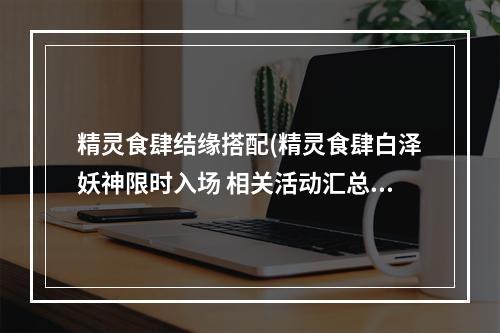 精灵食肆结缘搭配(精灵食肆白泽妖神限时入场 相关活动汇总)