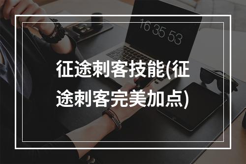 征途刺客技能(征途刺客完美加点)