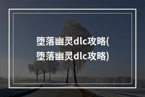 堕落幽灵dlc攻略(堕落幽灵dlc攻略)