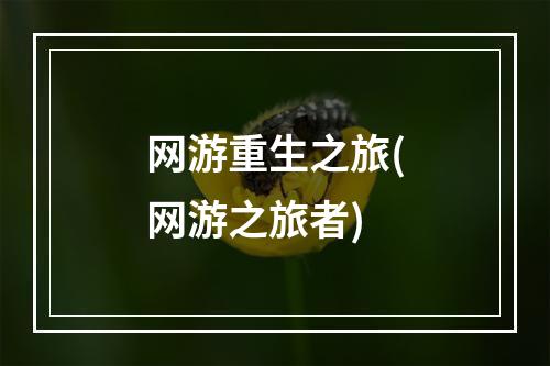 网游重生之旅(网游之旅者)