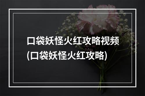 口袋妖怪火红攻略视频(口袋妖怪火红攻略)