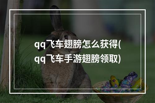 qq飞车翅膀怎么获得(qq飞车手游翅膀领取)