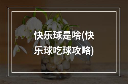 快乐球是啥(快乐球吃球攻略)